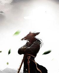 武意江湖奇书网